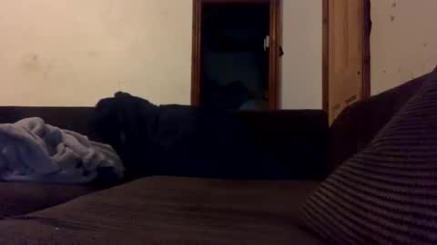 mr_big1983 online show from 12-04-24, 01:58