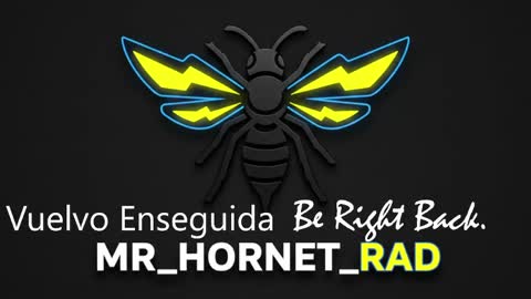 mr_hornet_rad online show from 05-04-26, 01:18