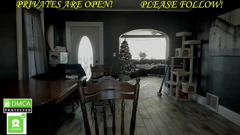 MrBrew online show from 12-01-24, 07:36