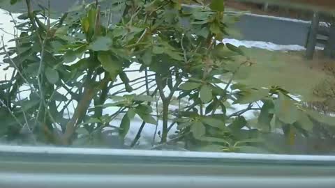 Snapshot of mrbrigggs chatting on 01-14-26, 12:11 mrbrigggs online show from 01-14-26, 12:11