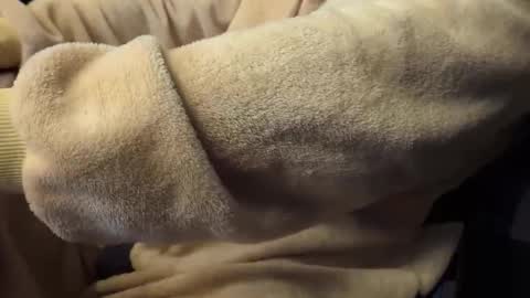 mrdelapampa online show from 11-26-25, 11:55