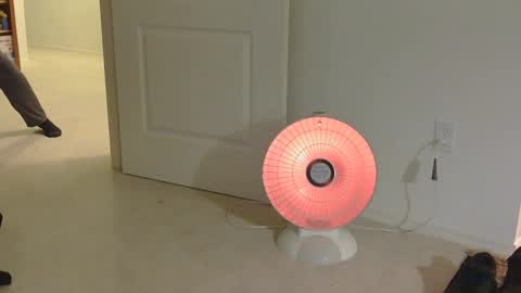 Snapshot of mrf388 chatting on 11-17-25, 12:33 IwantU2WatchME online show from 11-17-25, 12:33