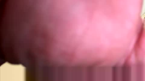 mrfrankfuckforfree online show from 03-03-26, 04:24