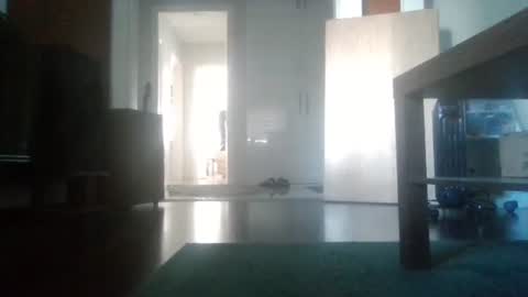 Nikola online show from 02-06-26, 09:23