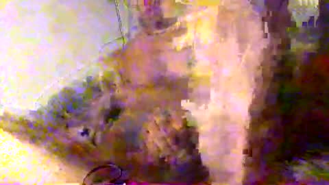 mrkoterz online show from 04-18-26, 10:19