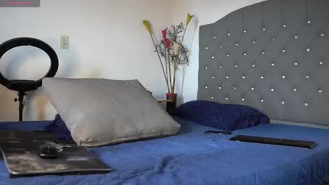 Luis    Instagram   online show from 02-17-25, 04:15