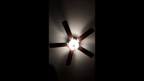 Snapshot of mrorange50187 chatting on 12-18-24, 12:32 mrorange50187 online show from 12-18-24, 12:32