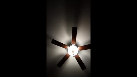 Snapshot of mrorange50187 chatting on 01-08-25, 11:30 mrorange50187 online show from 01-08-25, 11:30