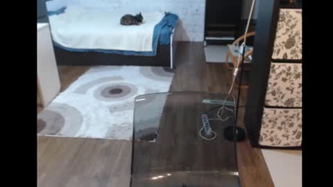 Sasha online show from 03-11-25, 03:23