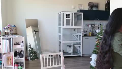 R o r i  SnapChat heyroriv2 wednesday - sunday Noon oclock mountain - 5pm mountain online show from 10-25-25, 06:35