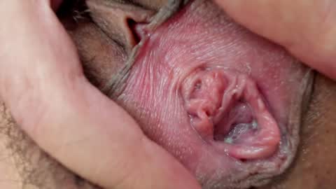 Snapshot of ms_pickless chatting on 01-26-25, 03:14 Annabelle online show from 01-26-25, 03:14