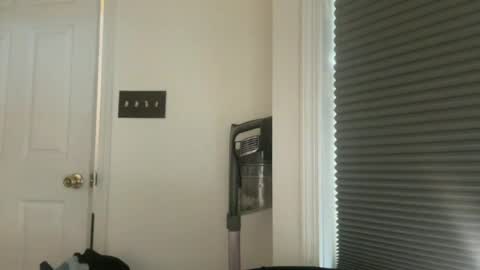 msduss351 online show from 07-05-26, 04:58