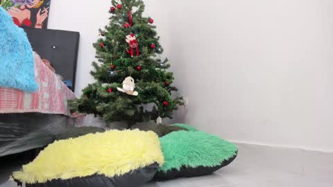 Snapshot of msschloee chatting on 12-11-24, 08:07 Chloe new account online show from 12-11-24, 08:07