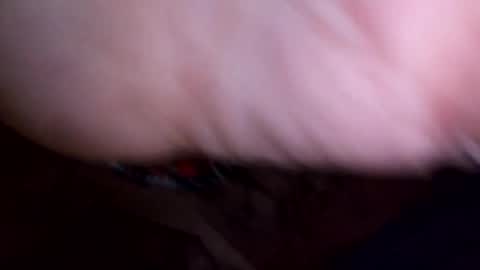 mtnclimber1 online show from 04-21-26, 06:09