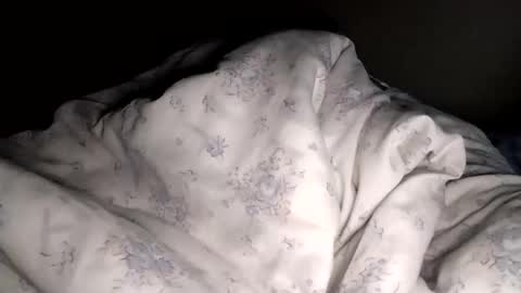 Snapshot of mulato44 chatting on 02-26-25, 10:15 Laly online show from 02-26-25, 10:15