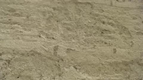 Mullty online show from 12-18-24, 08:36