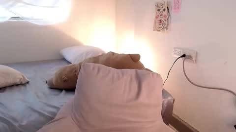   online show from 02-17-26, 08:04