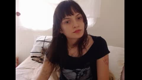   online show from 04-02-26, 07:33