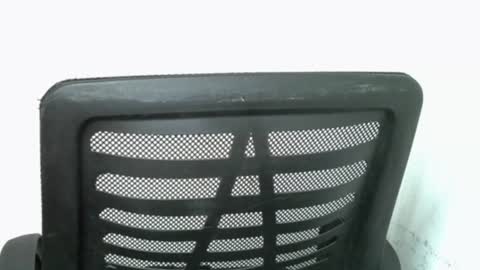 Snapshot of muscle_queen0 chatting on 02-18-26, 06:42 muscle_queen0 online show from 02-18-26, 06:42