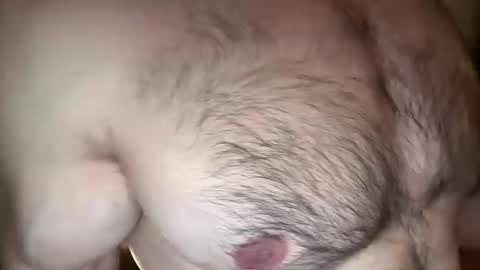 musclehair3 online show from 03-11-26, 08:26