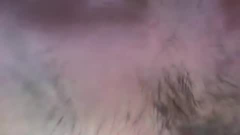 Snapshot of musclehair3 chatting on 07-13-26, 08:11 musclehair3 online show from 07-13-26, 08:11