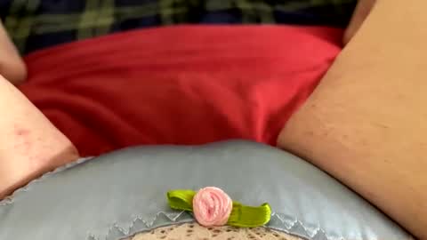 Kitty online show from 11-27-25, 09:55