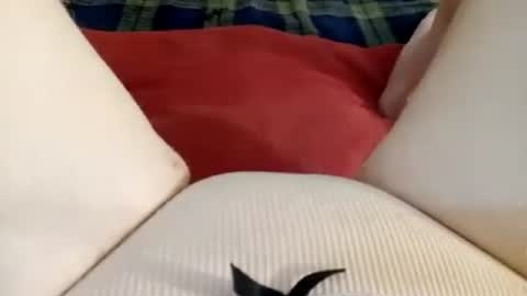 Snapshot of mykittyneedsuu chatting on 06-27-26, 12:22 Kitty online show from 06-27-26, 12:22