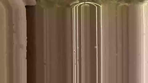 Ricky online show from 11-12-25, 03:12