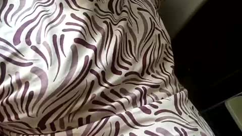 Snapshot of mysolo198777 chatting on 01-16-26, 09:02 Mysolo1987 online show from 01-16-26, 09:02