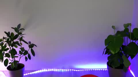  Eve  online show from 10-11-25, 10:30