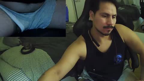 N0ttheFace online show from 11-18-25, 02:28