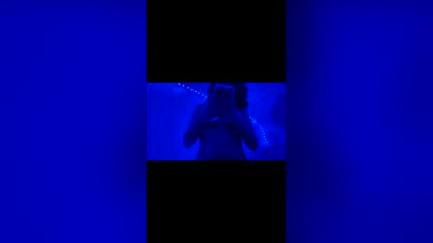 naelove2222 online show from 04-20-26, 06:27