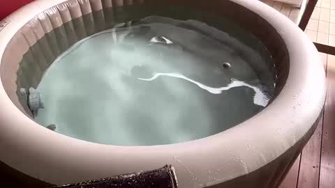 Sexyhotpapa online show from 12-02-24, 11:12