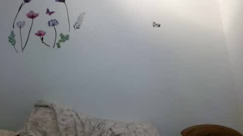 Snapshot of nahomy_gree chatting on 02-06-26, 06:40 nahomy_gree online show from 02-06-26, 06:40