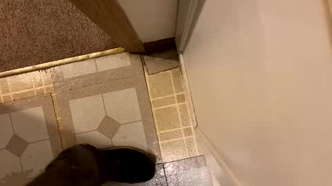 nairda2senoniuq online show from 12-20-24, 12:08