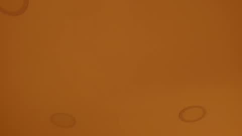 INSTAGRAM  m2221     online show from 04-08-26, 10:04