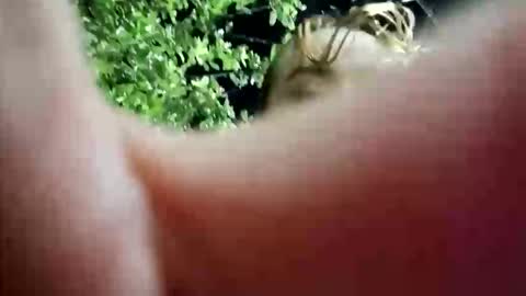 Snapshot of nanna_and_balder2 chatting on 04-19-26, 03:28 nanna_and_balder2 online show from 04-19-26, 03:28