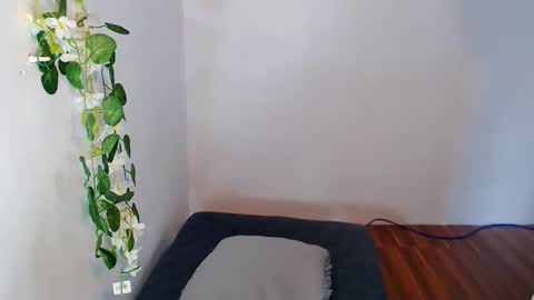 Snapshot of nashdiam chatting on 11-30-25, 07:23 nashdiam online show from 11-30-25, 07:23