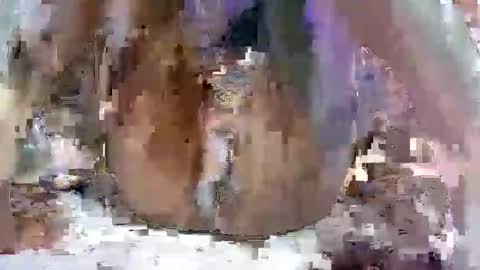 nasty toy online show from 01-09-25, 06:17