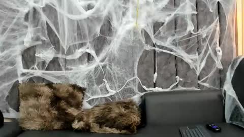 Snapshot of nathan_shimmer chatting on 10-09-25, 10:52 nathan_shimmer online show from 10-09-25, 10:52