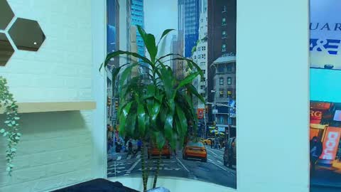 Kitten online show from 03-07-25, 10:24