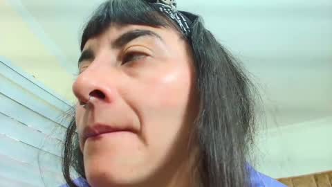 Kitten online show from 09-30-25, 11:37