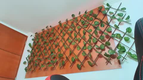 Kitten online show from 04-14-26, 11:27