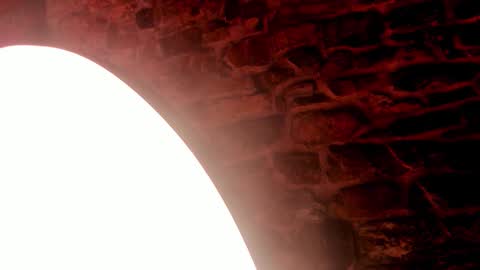 NEBULA  online show from 12-21-25, 01:51