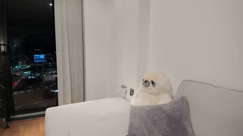 Gigi Chu  online show from 01-16-25, 06:16