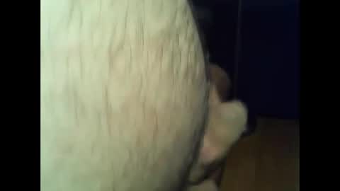 ncbncb online show from 12-01-24, 08:09