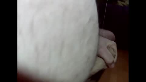 ncbncb online show from 03-01-25, 08:21