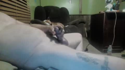 ned is naughty online show from 03-07-25, 10:24