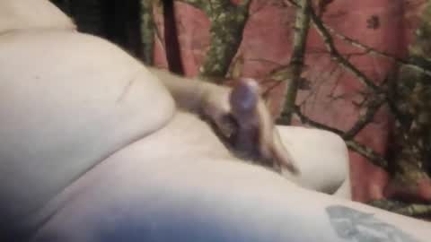 ned is naughty online show from 03-07-26, 10:45