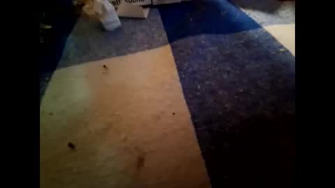 Snapshot of nembo1974 chatting on 11-01-25, 10:23 boo online show from 11-01-25, 10:23